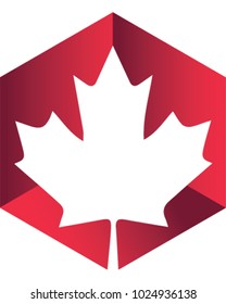 Maple Leaf, a Autumn vector illustration.