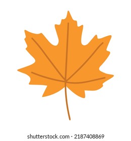 Maple leaf. Autumn vector object isolated on white background