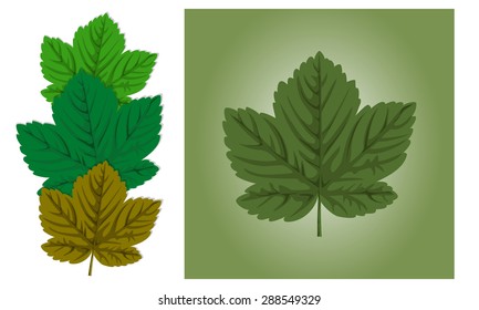 Maple leaf background in different colors and sizes