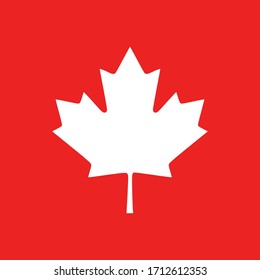 Maple leaf and background as icon