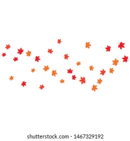 Maple leaf background vector illustration design 
