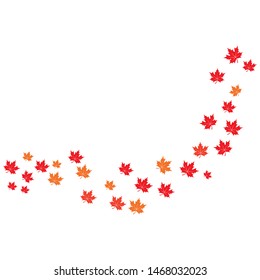Maple leaf background vector illustration design 
