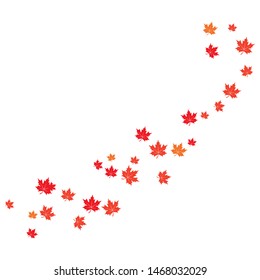 Maple leaf background vector illustration design 
