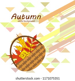 maple leaf basket mushroom autumnal vector 