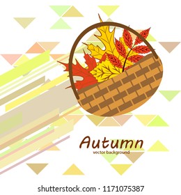 maple leaf basket mushroom autumnal vector 