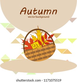 maple leaf basket mushroom autumnal vector 