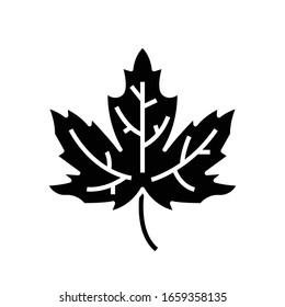 Maple leaf black icon, concept illustration, vector flat symbol, glyph sign.