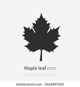 Maple leaf black icon on white background. Maple leaf silhouette. Isolated vector illustration. Front view.