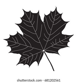 Maple leaf black silhouette