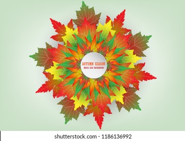 Maple leaf blossom. Colorful leaf in autumn season Vector EPS10