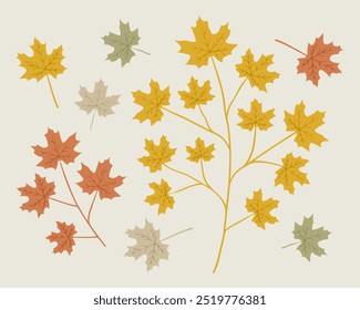 Maple leaf and branch illustration set. Hand drawn graphic. Cute color drawing of fall element. Flat autumn leaves.