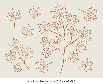 Maple leaf and branch line art illustration set. Hand drawn graphic. Cute one color doodle of fall element. Autumn leaves sketch.