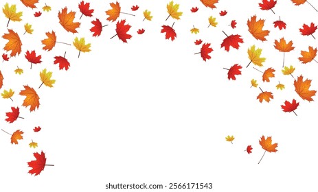 Maple Leaf- Canada Golden Background Transparent Vector. Leaves Decoration Illustration. Yellow Realistic Plant. Nature Leaf Design.