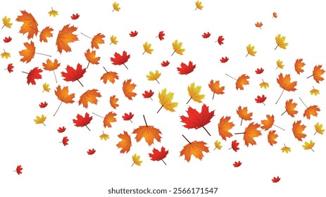 Maple Leaf- Canada Golden Background Transparent Vector. Leaves Decoration Illustration. Yellow Realistic Plant. Nature Leaf Design.