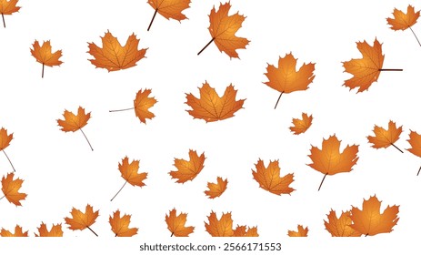 Maple Leaf- Canada Golden Background Transparent Vector. Leaves Decoration Illustration. Yellow Realistic Plant. Nature Leaf Design.