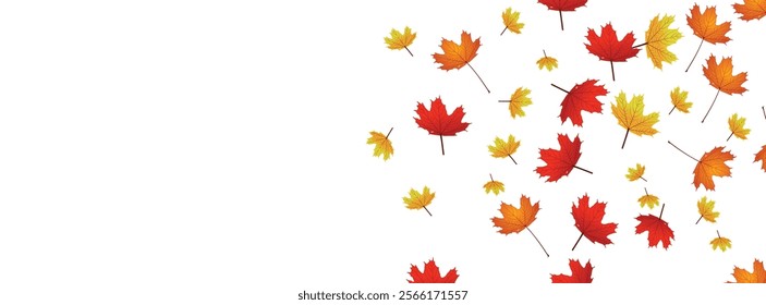 Maple Leaf- Canada Golden Background Transparent Vector. Leaves Decoration Illustration. Yellow Realistic Plant. Nature Leaf Design.