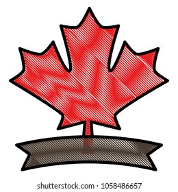 maple leaf canadian emblem banner