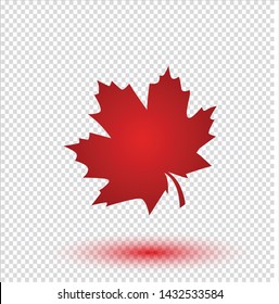 Maple leaf, Checked background. Falling red leaf for Canada Day 1st July,Vector Illustration design,