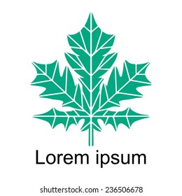 Maple leaf closeup green silhouette icon isolated on white background, art logo design