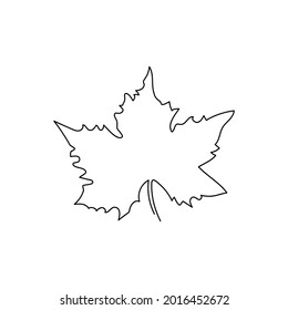 Maple leaf continuous line drawing. One line art of tree leaves, herb, plants.