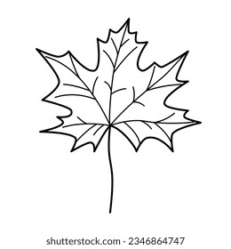Maple leaf contour drawing isolated cutout black and white vector clipart illustration. Autumn leaves line art design element. Nature pictogram, logo or icon. Tree foilage simple cartoon doodle.