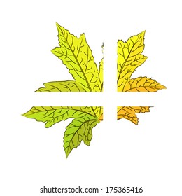 maple leaf with a cross. Vector 