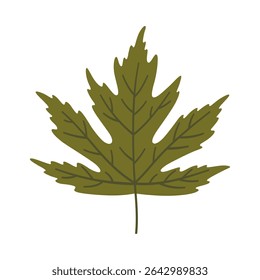 Folha de bordo em verde escuro. Um elemento isolado no branco. Fundo de primavera ou verão, ilustração vetorial