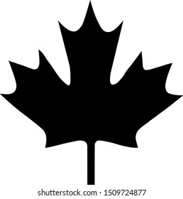 Maple leaf with decorative element on white background.vector design