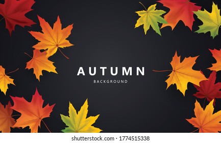 Diseño de hojas de arce para el otoño Puede aislarse de un fondo transparente