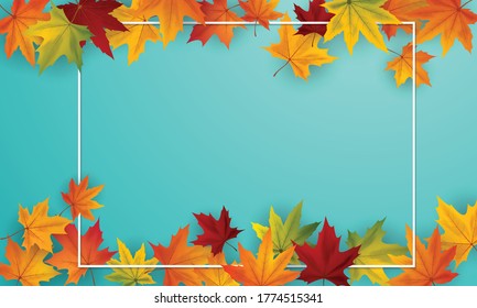 Maple leaf design for autumn Can be isolated from a transparent background