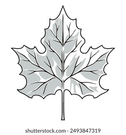 Maple leaf detailed sticker monochrome with petal falling from tree for design of advertising autumn sales and discounts vector illustration