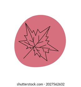 Maple leaf doodle illustration. Autumn leaf hand drawn doodle illustration line art with abstract shape