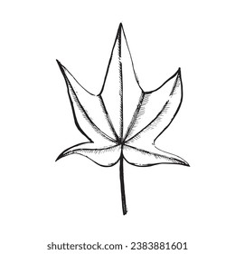 Maple leaf drawn in vector by hand on a white background with a black outline. Suitable for printing on fabric, paper, cards and invitations, decor, scrapbooking.