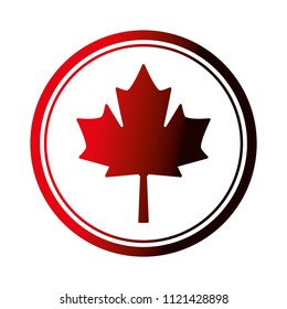 maple leaf emblem isolated icon
