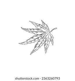 Maple leaf engraved hand