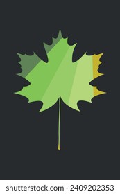 a maple leaf fades from summery dark green to fall color