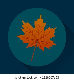 maple leaf flat icon