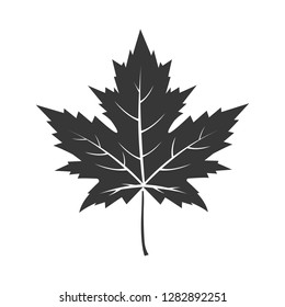 Maple Leaf Flat Icon