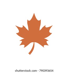 Maple leaf flat icon