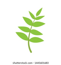 Maple Leaf Flat Icon On White Background