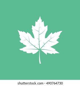 Maple Leaf Flat Icon On Green Background