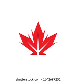 Maple Leaf Flat logo  icon Vector Illustration