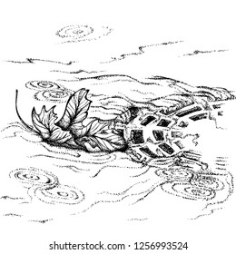 Maple Leaf floating in the drain in rainy weather. Vector hand drawn illustration. Monochrome drawing isolated on white background