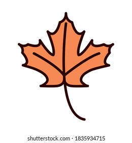 maple leaf foliage autumn nature vector illustration line fill icon