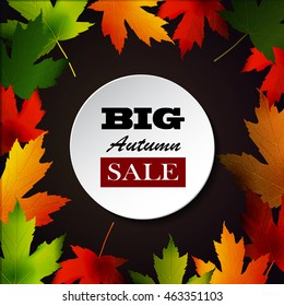 Maple leaf frame for seasonal sales