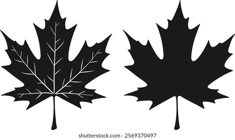 Maple leaf full black silhouette for maple leaf fall designs. Maple leaf vector illustration. Maple leaf silhouette logo.