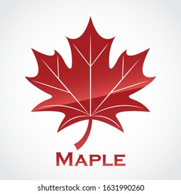 maple leaf glossy red logo design
