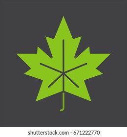 Maple leaf glyph color icon. Silhouette symbol on black background. Negative space. Vector illustration