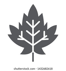 Maple leaf glyph icon, foliage and nature, autumn leaf sign, vector graphics, a solid pattern on a white background, eps 10.