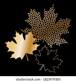 Maple leaf in gold. Silhouette and contour. Stylish elements for design on the black background